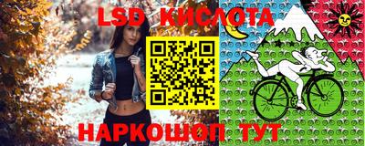 крисы Кимры